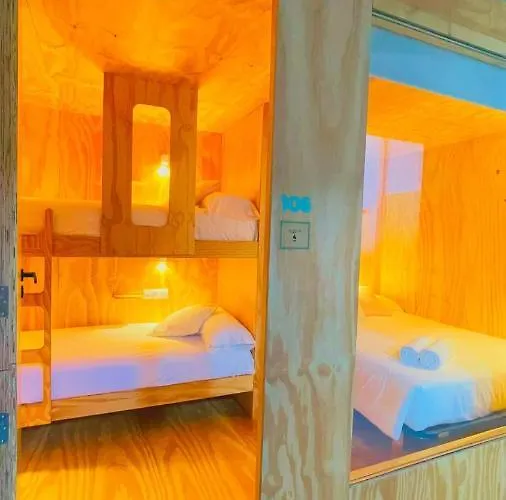 Area Surf House